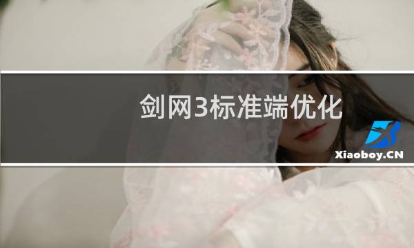 剑网3标准端优化