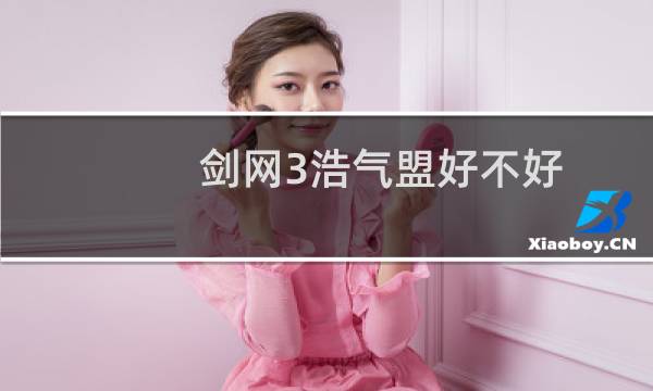剑网3浩气盟好不好