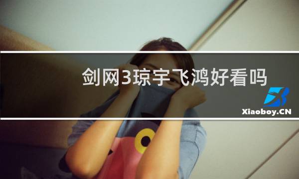 剑网3琼宇飞鸿好看吗