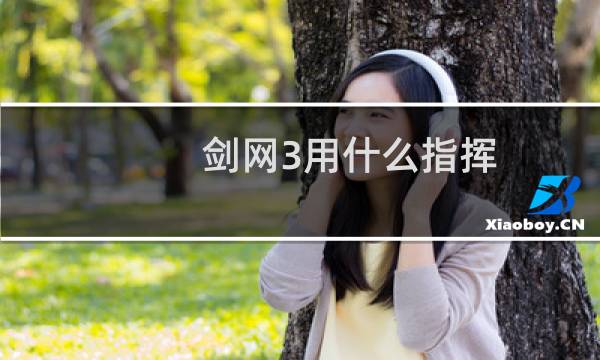 剑网3用什么指挥