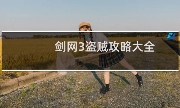 剑网3盗贼攻略大全