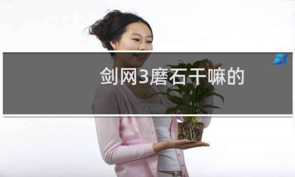 剑网3磨石干嘛的