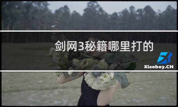 剑网3秘籍哪里打的