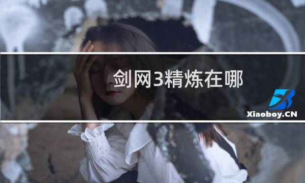 剑网3精炼在哪
