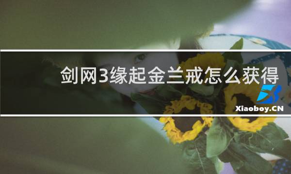 剑网3缘起金兰戒怎么获得