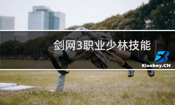 剑网3职业少林技能