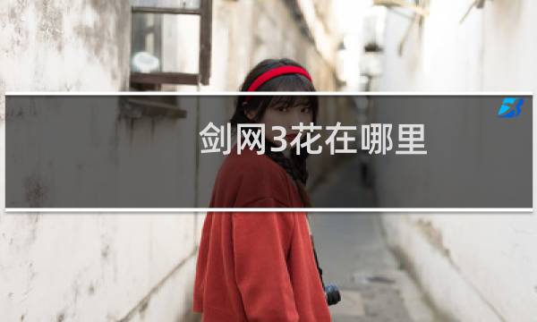 剑网3花在哪里