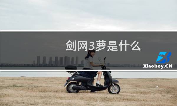 剑网3萝是什么