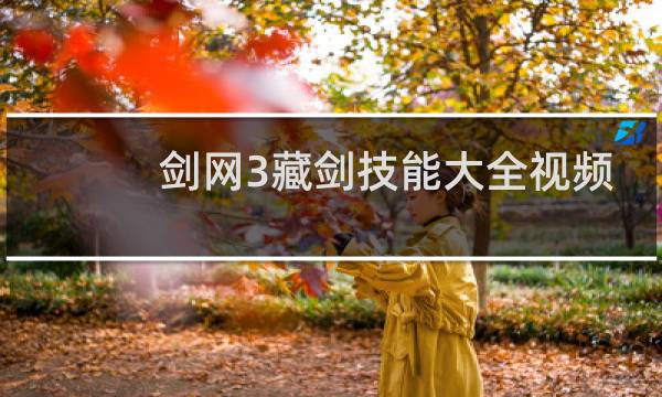 剑网3藏剑技能大全视频