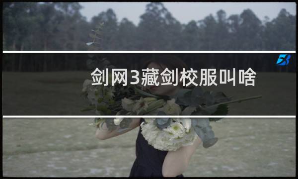 剑网3藏剑校服叫啥