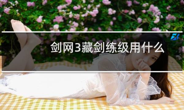 剑网3藏剑练级用什么