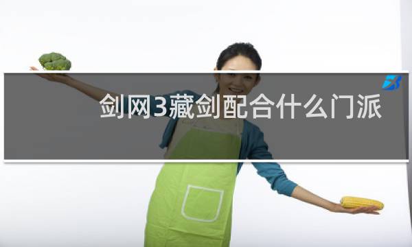剑网3藏剑配合什么门派