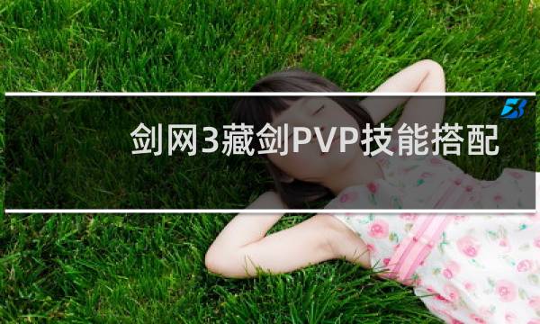 剑网3藏剑PVP技能搭配