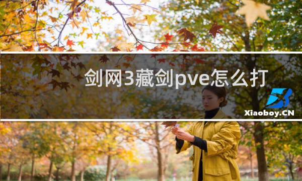 剑网3藏剑pve怎么打