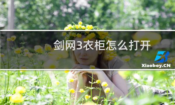 剑网3衣柜怎么打开