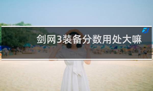 剑网3装备分数用处大嘛