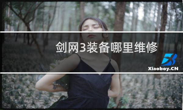 剑网3装备哪里维修