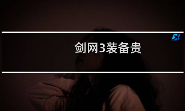 剑网3装备贵