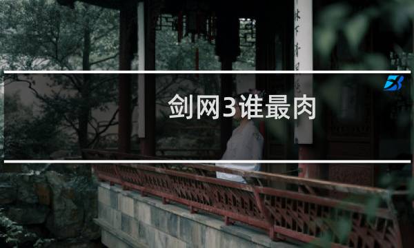剑网3谁最肉