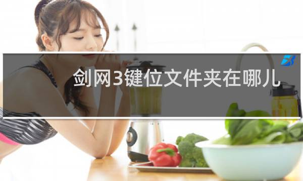 剑网3键位文件夹在哪儿