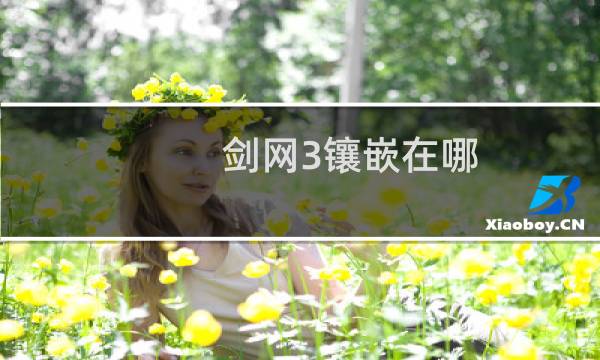剑网3镶嵌在哪