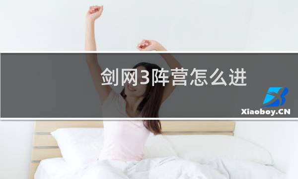 剑网3阵营怎么进