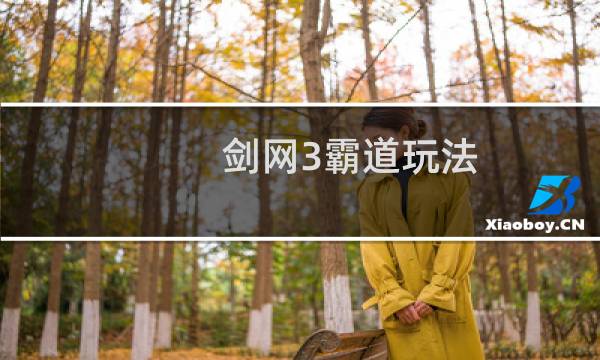 剑网3霸道玩法