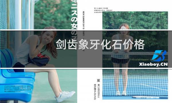 剑齿象牙化石价格