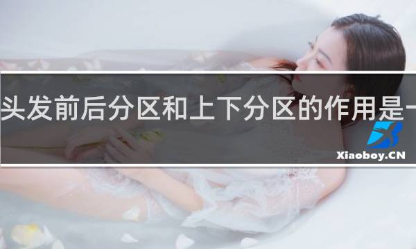 剪头发前后分区和上下分区的作用是一样的吗