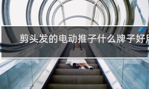 剪头发的电动推子什么牌子好用