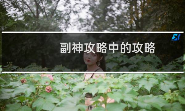 副神攻略中的攻略