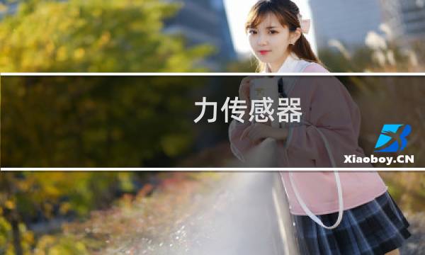 力传感器 误差分析