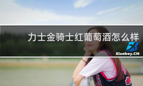 力士金骑士红葡萄酒怎么样
