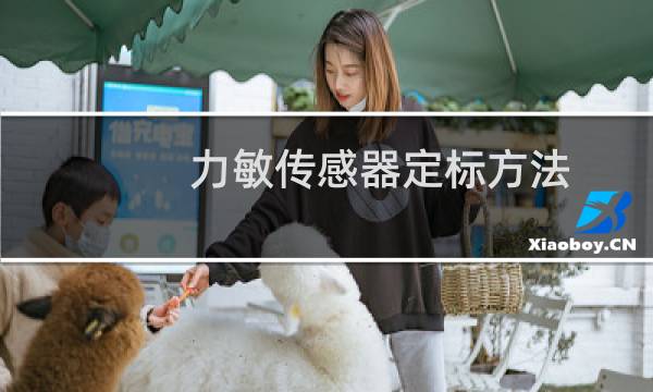 力敏传感器定标方法