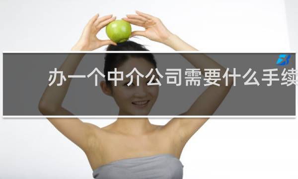 办一个中介公司需要什么手续