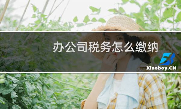 办公司税务怎么缴纳