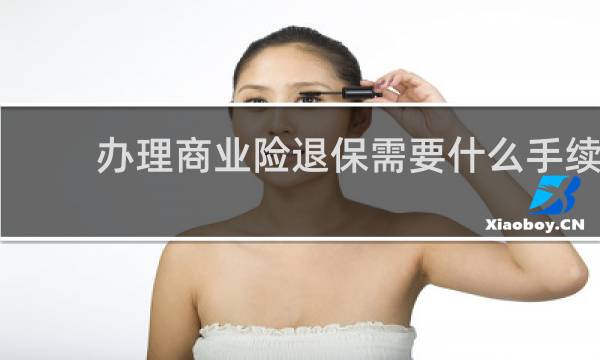 办理商业险退保需要什么手续
