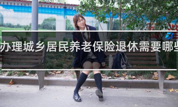 办理城乡居民养老保险退休需要哪些手续