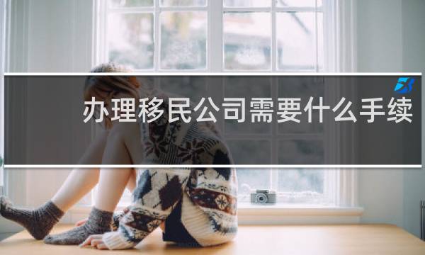 办理移民公司需要什么手续