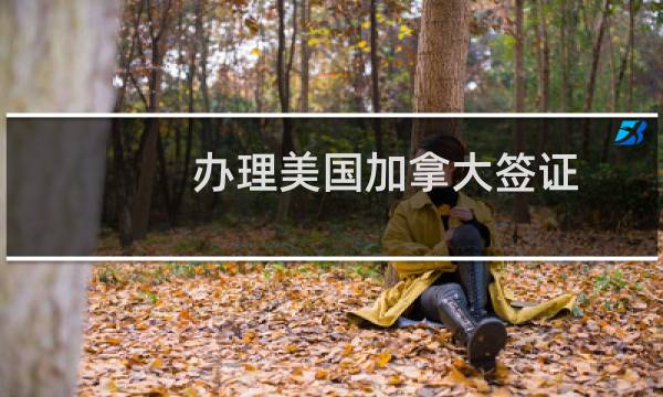 办理美国加拿大签证