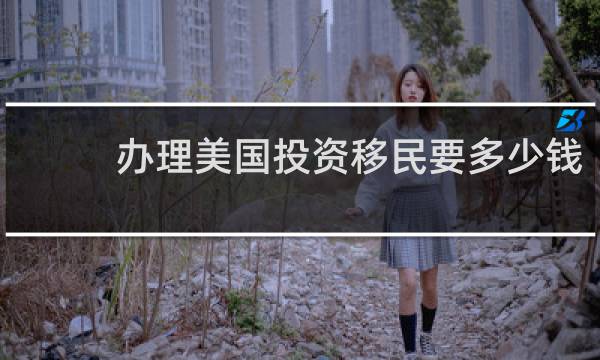办理美国投资移民要多少钱