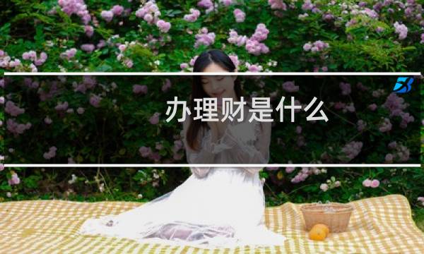 办理财是什么