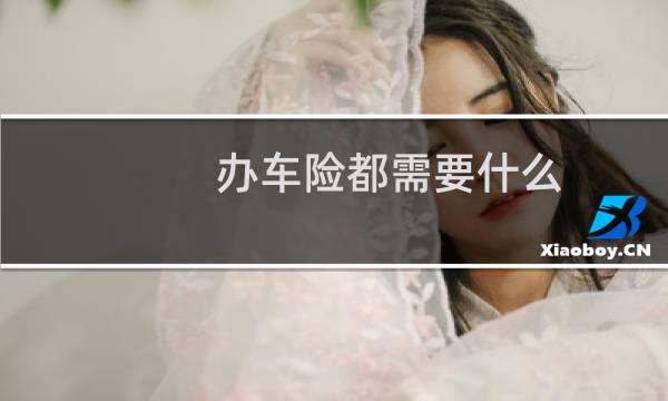 办车险都需要什么
