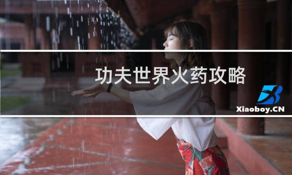 功夫世界火药攻略