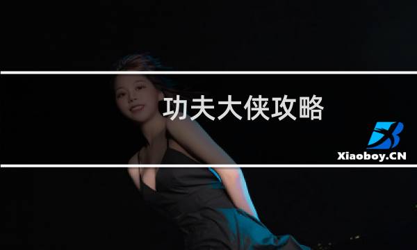 功夫大侠攻略