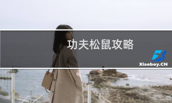 功夫松鼠攻略