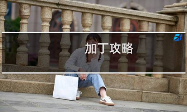 加丁攻略