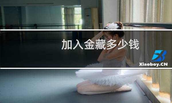 加入金藏多少钱