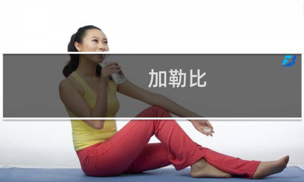 加勒比 海盗攻略