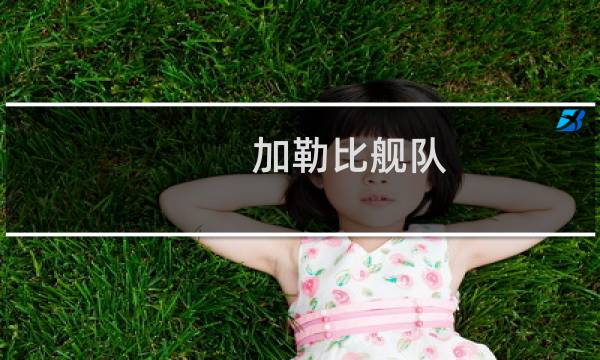 加勒比舰队 攻略